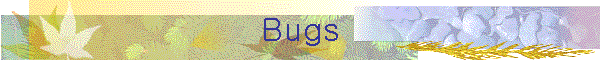 Bugs